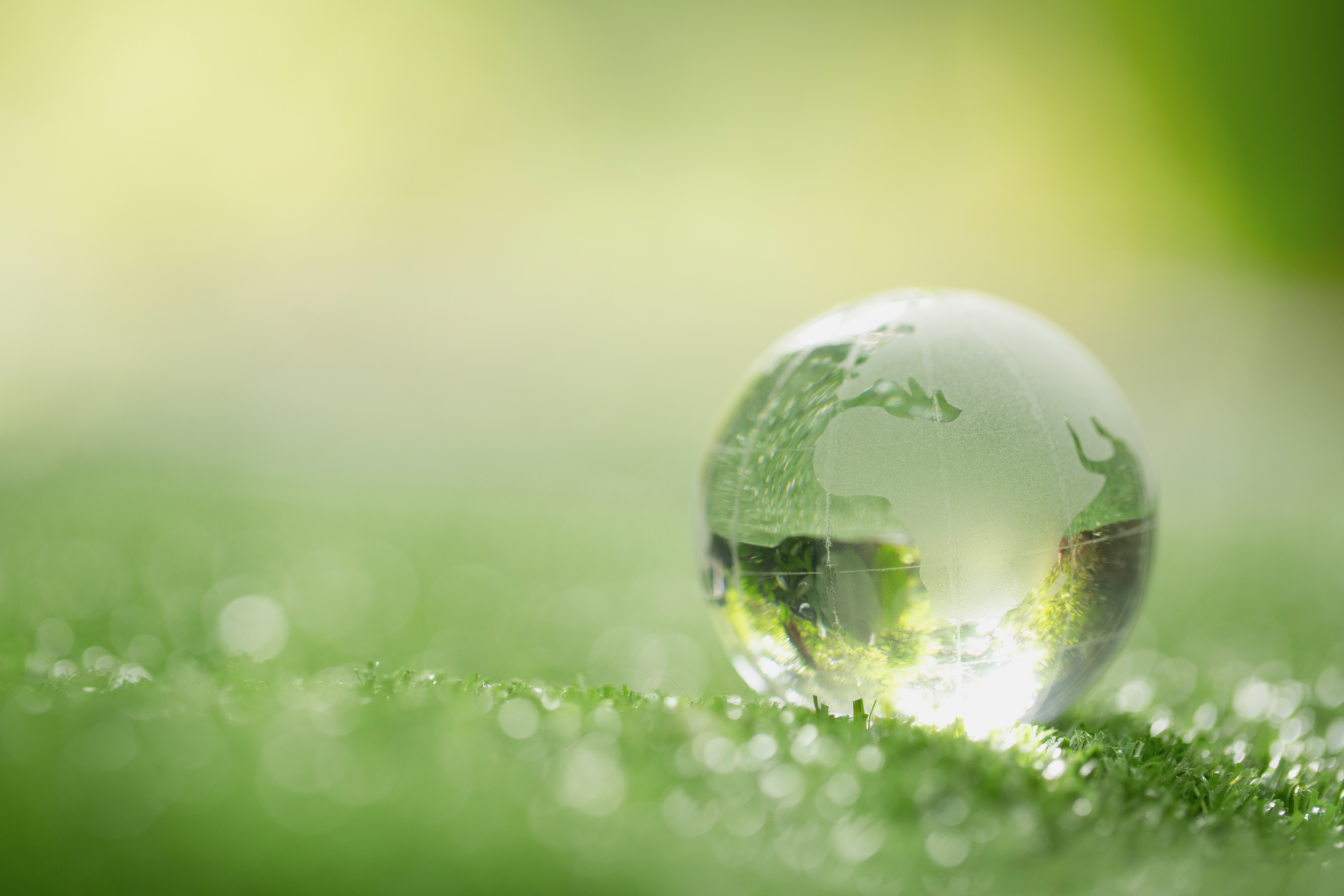Close Up Crystal Globe Resting Grass Forest