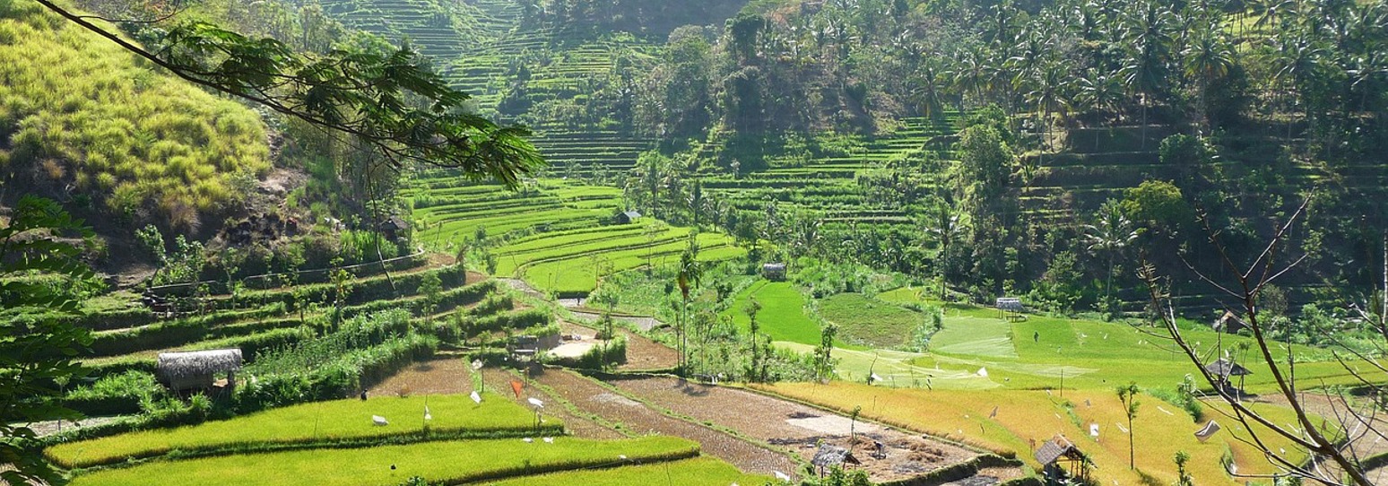 Indonesia 2647607 1280